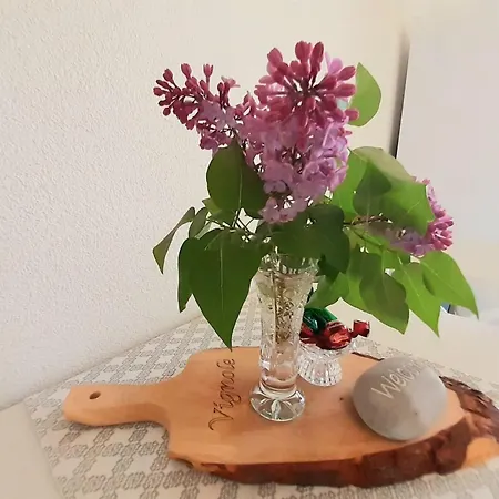 Secluded Authentic With Terrace - With Terrace Apartmán Portorož