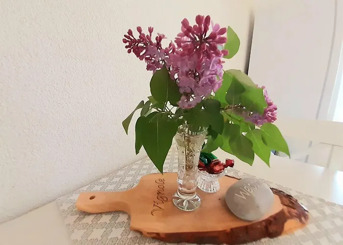 Secluded Authentic With Terrace - With Terrace Appartement Portorož